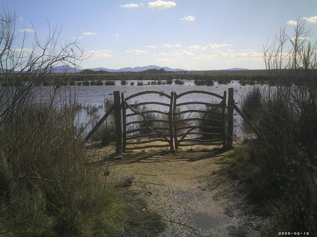 S'Albufera de Mallorca